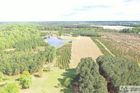 Sow's Ear Farm Country Estate - image 49