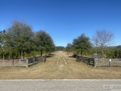 Sow's Ear Farm Country Estate - image 8