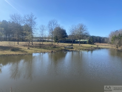 Sow's Ear Farm Country Estate - image 24