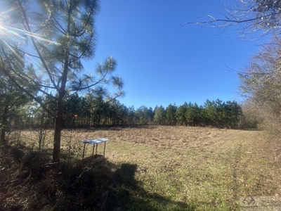 Sow's Ear Farm Country Estate - image 4