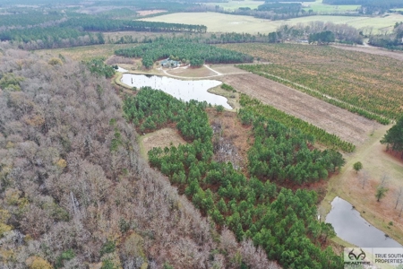 Sow's Ear Farm Country Estate - image 41