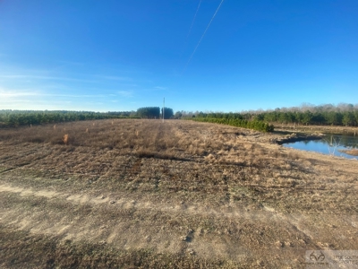 Sow's Ear Farm Country Estate - image 6