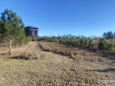 Sow's Ear Farm Country Estate - image 5