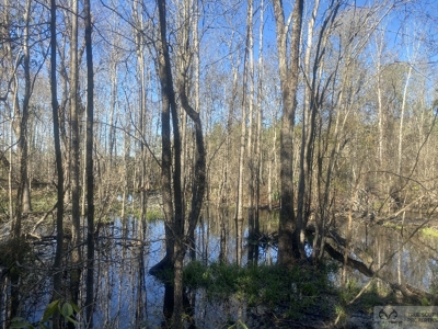 Sow's Ear Farm Country Estate - image 2