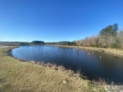 Sow's Ear Farm Country Estate - image 10