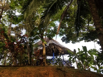 TOO LATE, OFFER ACCEPTED on Bocas del Toro Oceanfront Lodge - image 18