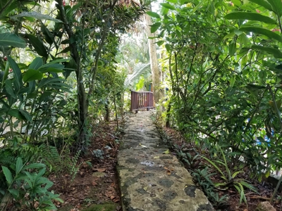 TOO LATE, OFFER ACCEPTED on Bocas del Toro Oceanfront Lodge - image 27