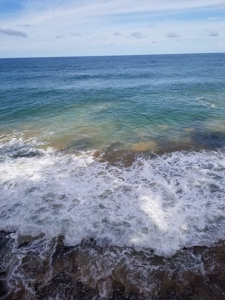 TOO LATE, OFFER ACCEPTED on Bocas del Toro Oceanfront Lodge - image 50