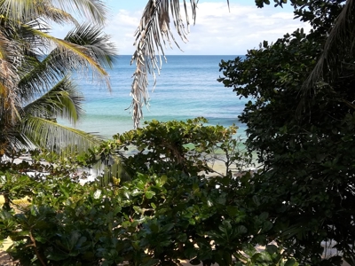 TOO LATE, OFFER ACCEPTED on Bocas del Toro Oceanfront Lodge - image 8