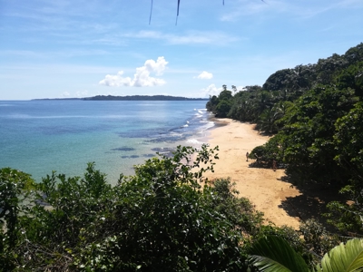 TOO LATE, OFFER ACCEPTED on Bocas del Toro Oceanfront Lodge - image 17