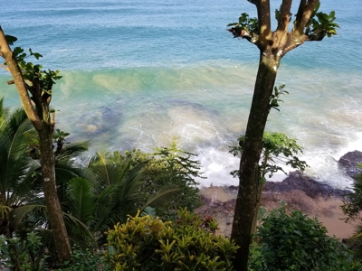 TOO LATE, OFFER ACCEPTED on Bocas del Toro Oceanfront Lodge - image 39