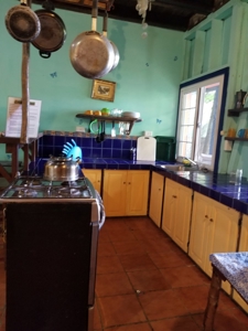 TOOLATE, OFFER ACCEPTED, Beach house, Bocas del Toro, Panama - image 15