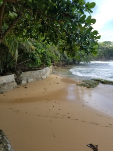 TOOLATE, OFFER ACCEPTED, Beach house, Bocas del Toro, Panama - image 6