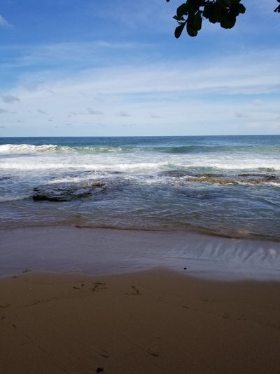 TOOLATE, OFFER ACCEPTED, Beach house, Bocas del Toro, Panama