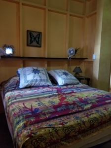 TOOLATE, OFFER ACCEPTED, Beach house, Bocas del Toro, Panama - image 16