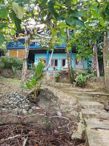 TOOLATE, OFFER ACCEPTED, Beach house, Bocas del Toro, Panama - image 1