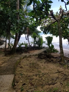 TOOLATE, OFFER ACCEPTED, Beach house, Bocas del Toro, Panama - image 3