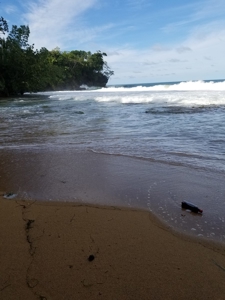 TOOLATE, OFFER ACCEPTED, Beach house, Bocas del Toro, Panama - image 8