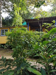 TOOLATE, OFFER ACCEPTED, Beach house, Bocas del Toro, Panama - image 2