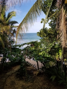 TOOLATE, OFFER ACCEPTED, Beach house, Bocas del Toro, Panama - image 19