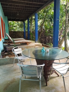 TOOLATE, OFFER ACCEPTED, Beach house, Bocas del Toro, Panama - image 14