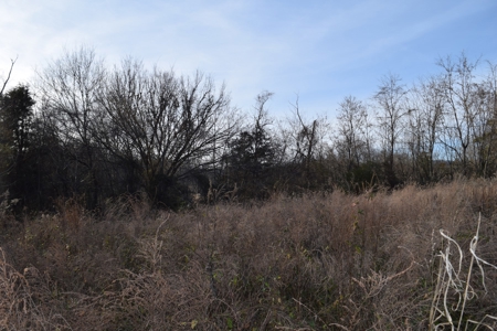 Cherokee Lake & East TN Mountain Views Grainger County 37708 - image 6