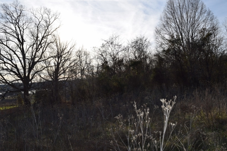 Cherokee Lake & East TN Mountain Views Grainger County 37708 - image 4