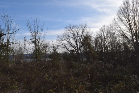 Cherokee Lake & East TN Mountain Views Grainger County 37708 - image 7