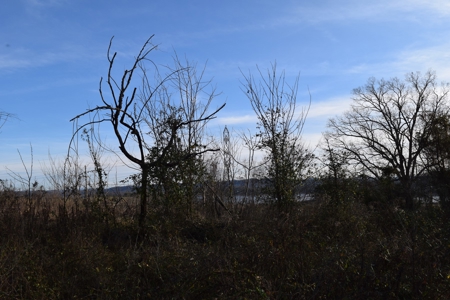 Cherokee Lake & East TN Mountain Views Grainger County 37708 - image 8