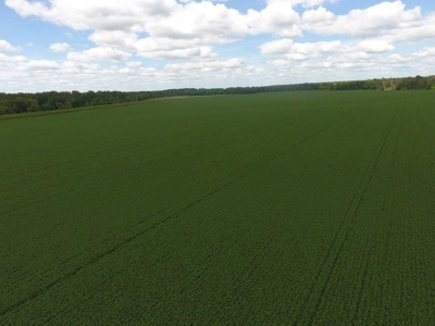 1,341+/- Acres, Excellent Row Crop Bottom, Chillicothe MO - image 9