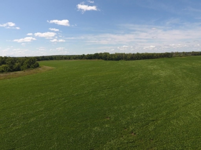 1,341+/- Acres, Excellent Row Crop Bottom, Chillicothe MO - image 42