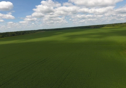 1,341+/- Acres, Excellent Row Crop Bottom, Chillicothe MO - image 21