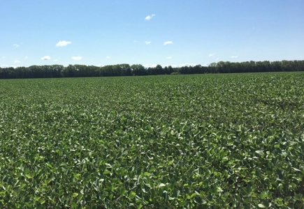 1,341+/- Acres, Excellent Row Crop Bottom, Chillicothe MO - image 44