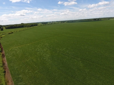 1,341+/- Acres, Excellent Row Crop Bottom, Chillicothe MO - image 11