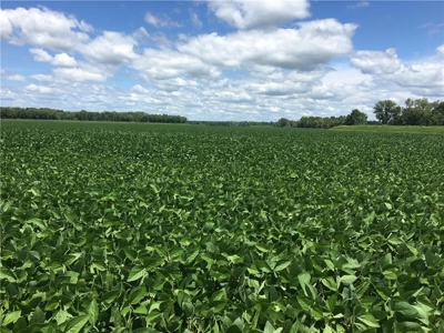 1,341+/- Acres, Excellent Row Crop Bottom, Chillicothe MO - image 26
