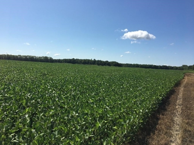 1,341+/- Acres, Excellent Row Crop Bottom, Chillicothe MO - image 45