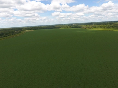 1,341+/- Acres, Excellent Row Crop Bottom, Chillicothe MO - image 8