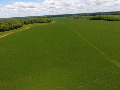1,341+/- Acres, Excellent Row Crop Bottom, Chillicothe MO - image 20