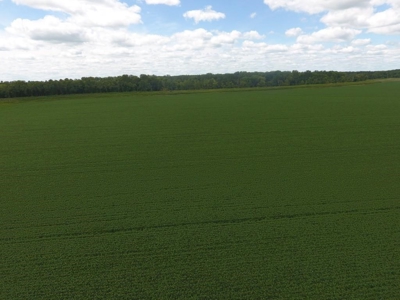 1,341+/- Acres, Excellent Row Crop Bottom, Chillicothe MO - image 25
