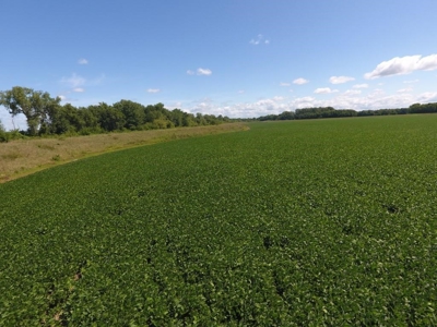 1,341+/- Acres, Excellent Row Crop Bottom, Chillicothe MO - image 38