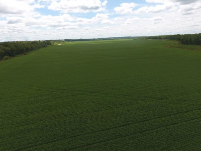 1,341+/- Acres, Excellent Row Crop Bottom, Chillicothe MO - image 23