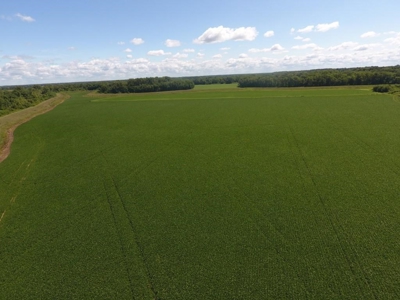 1,341+/- Acres, Excellent Row Crop Bottom, Chillicothe MO - image 39