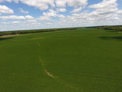 1,341+/- Acres, Excellent Row Crop Bottom, Chillicothe MO - image 17