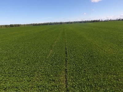 1,341+/- Acres, Excellent Row Crop Bottom, Chillicothe MO - image 28