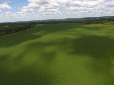 1,341+/- Acres, Excellent Row Crop Bottom, Chillicothe MO - image 22