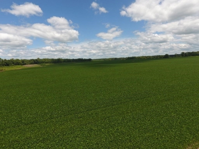 1,341+/- Acres, Excellent Row Crop Bottom, Chillicothe MO - image 18