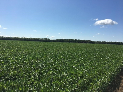 1,341+/- Acres, Excellent Row Crop Bottom, Chillicothe MO - image 46