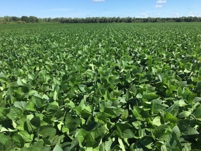 1,341+/- Acres, Excellent Row Crop Bottom, Chillicothe MO - image 31