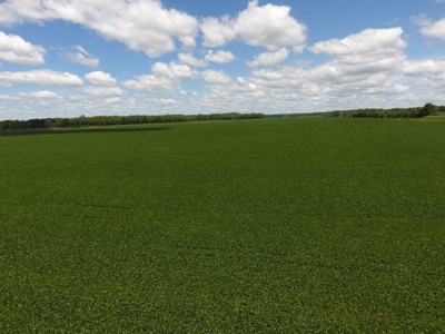 1,341+/- Acres, Excellent Row Crop Bottom, Chillicothe MO - image 16