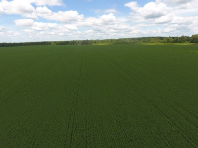 1,341+/- Acres, Excellent Row Crop Bottom, Chillicothe MO - image 2